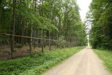Țarcul de vânătoare de la Marginea