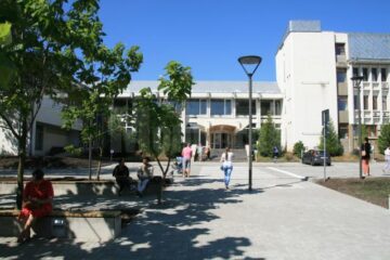 universitate