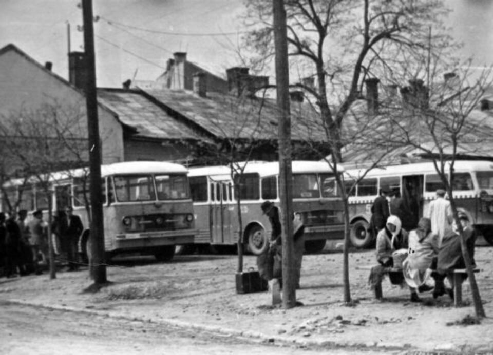 „Rătăcind printre autobuze”