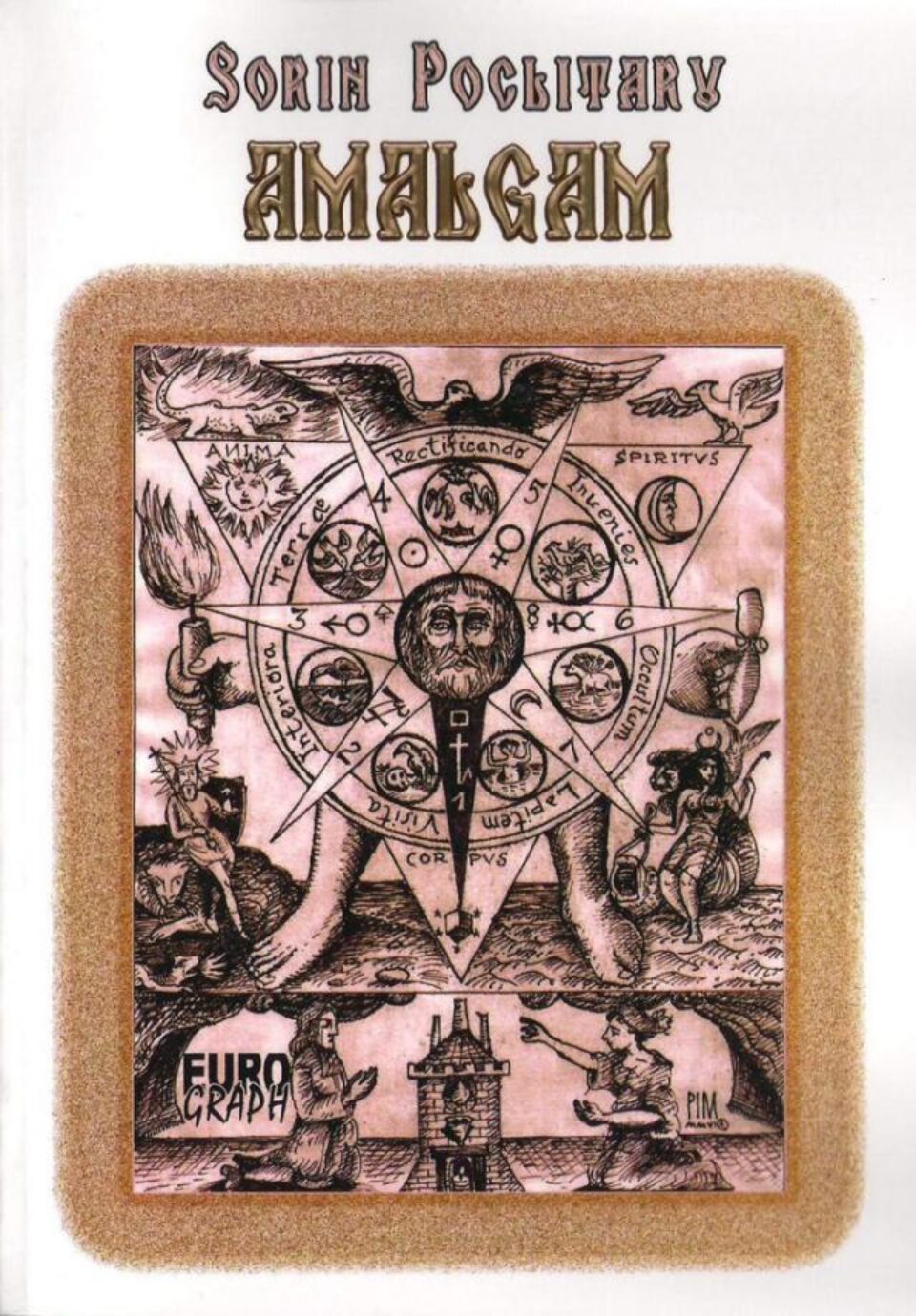 Sorin Poclitaru: „Amalgam”