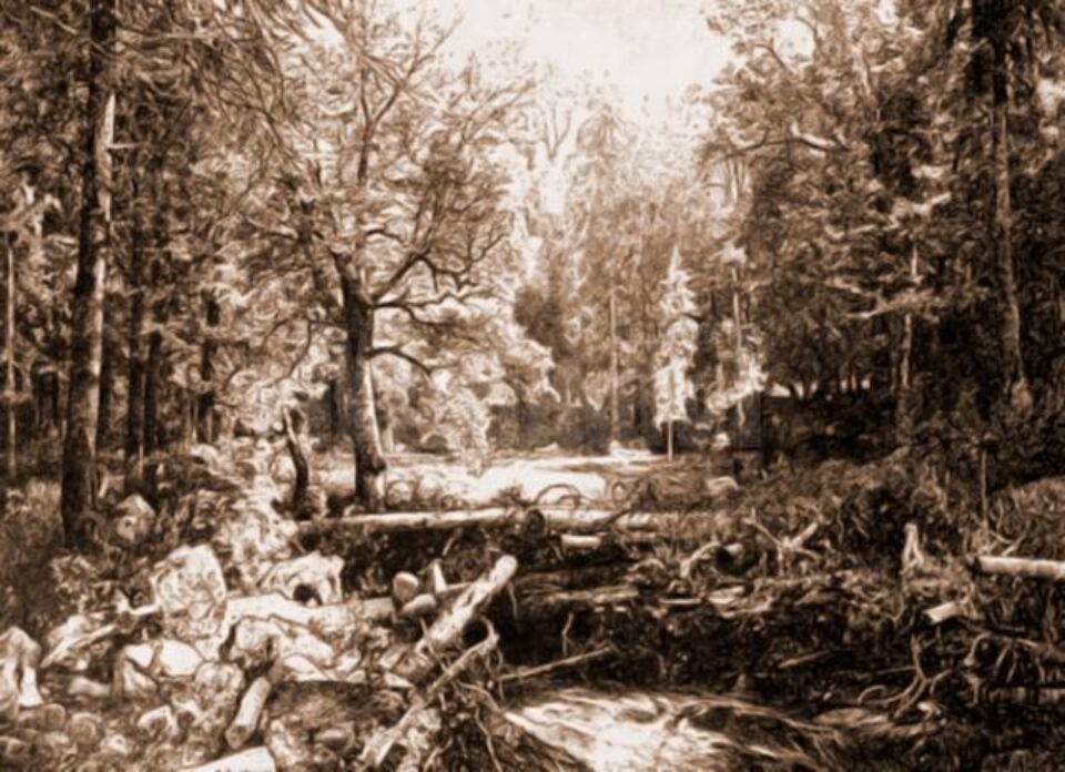 Cosmin, Luminiș – desen de Mattias Adolf Charlemont (1820-1871)