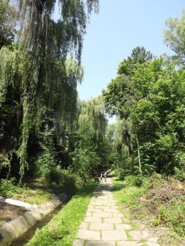 Parcul Dendrologic Șipote, pădurea din mijlocul orașului