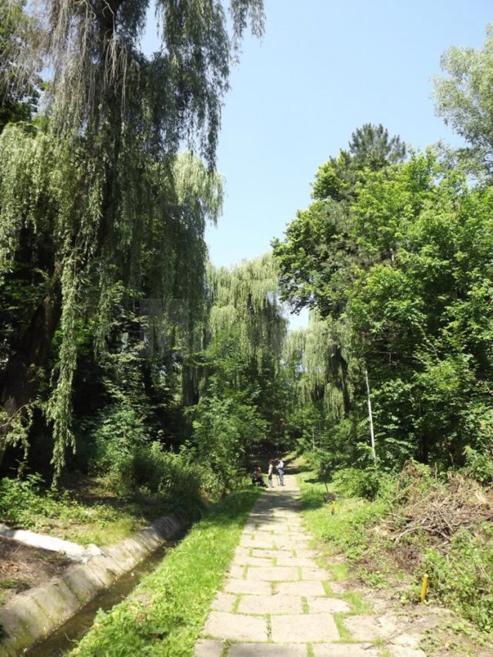 Parcul Dendrologic Șipote, pădurea din mijlocul orașului