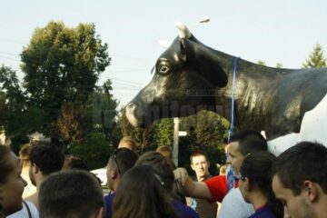 Studenții au reclamat că tinerii din România sunt trimiși la coada vacii