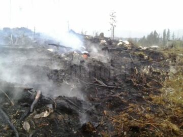 Incendiul a izbucnit vineri și a fost stins abia duminică