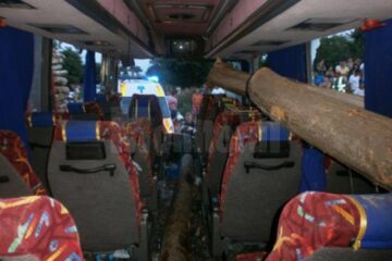 Buștenii au căzut dintr-un camion înmatriculat în Suceava. Foto: Orizont.info