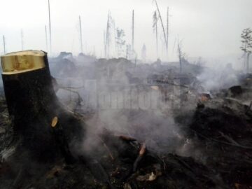 Incendiul a izbucnit vineri și a fost stins abia duminică