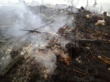 Incendiul a izbucnit vineri și a fost stins abia duminică