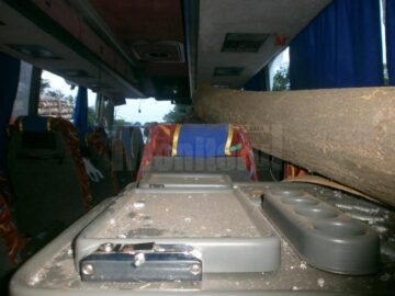 Buștenii au căzut dintr-un camion înmatriculat în Suceava. Foto: Orizont.info