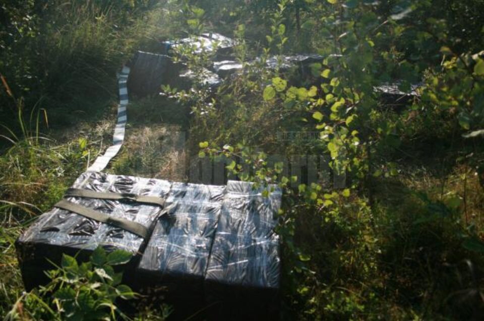 Țigările au fost duse la sediul Punctului de lucru Vicov pentru continuarea cercetărilor