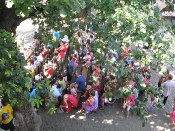Spectacole de teatru pentru copii
