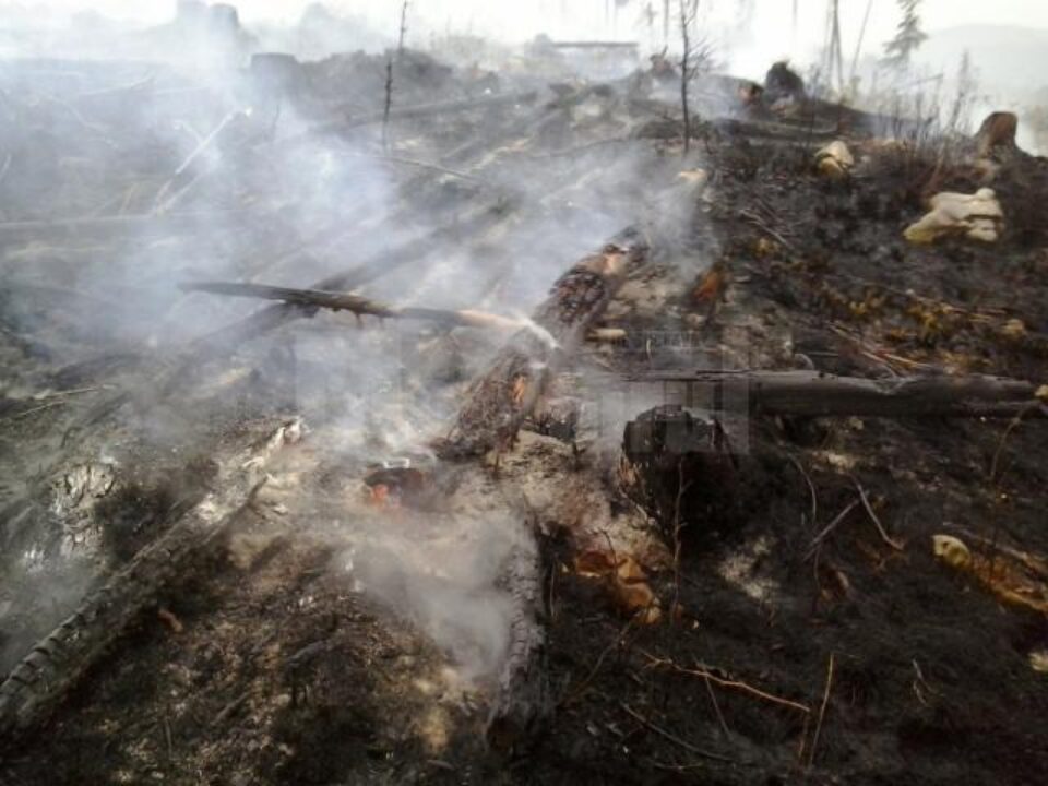 Incendiul a izbucnit vineri și a fost stins abia duminică