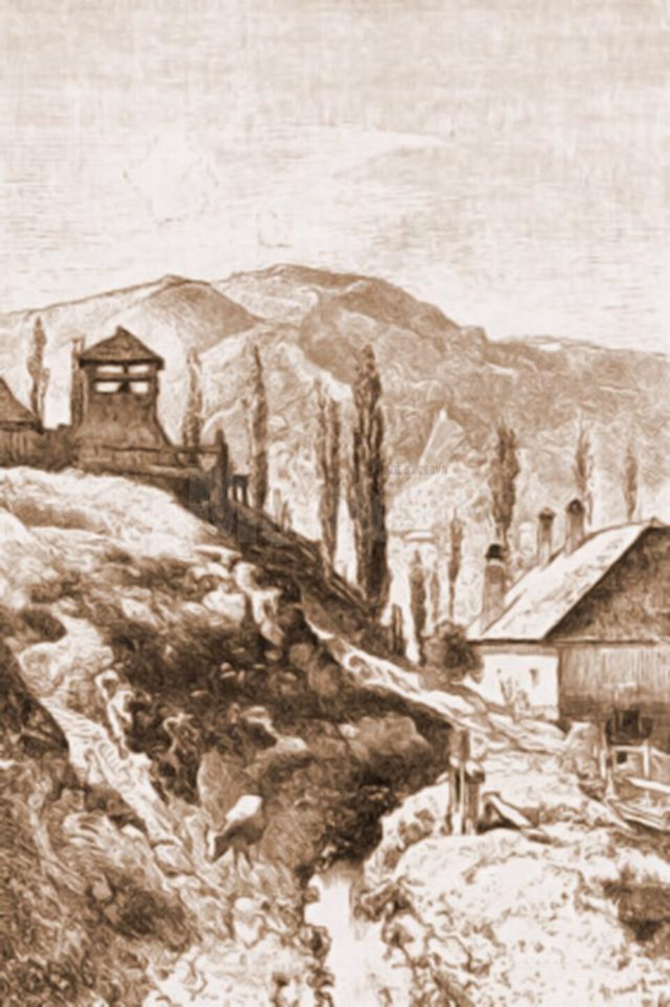 Iacobeni, muntele Arșița – desen de Rudolf Bernt (1844-1914)