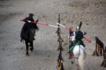 Festivalul de Artă Medievală „Ștefan cel Mare”, cel mai mare eveniment de gen din România