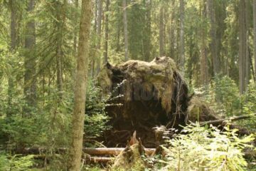 Trei obiective turistice din Bucovina, în Top 10 frumuseți rurale ale României