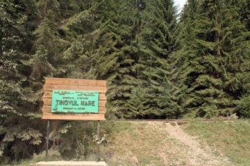 Rezervația Naturală „Tinovul Mare”, din Poiana Stampei