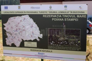 Rezervația Naturală „Tinovul Mare”, din Poiana Stampei