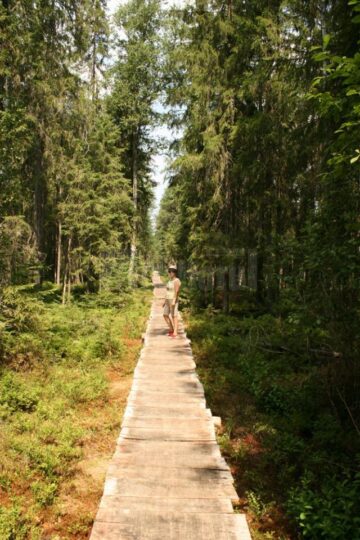 Trei obiective turistice din Bucovina, în Top 10 frumuseți rurale ale României