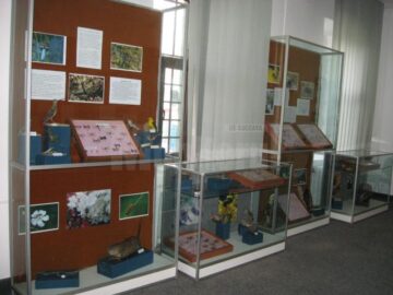 Expoziția “Insectele - hrană și medicament”