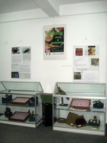Expoziția “Insectele - hrană și medicament”