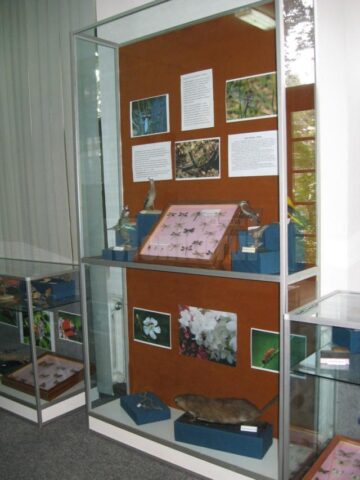 Expoziția “Insectele - hrană și medicament”