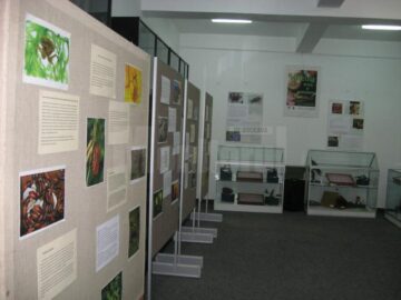 Expoziția “Insectele - hrană și medicament”