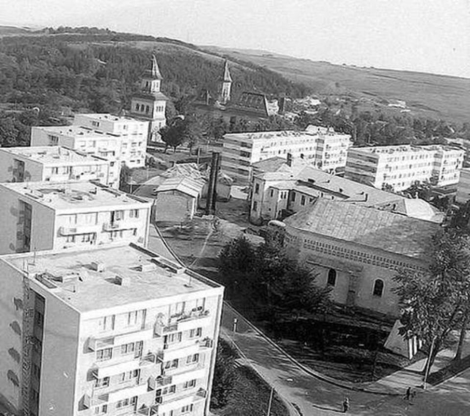 „Suceava contemporană”