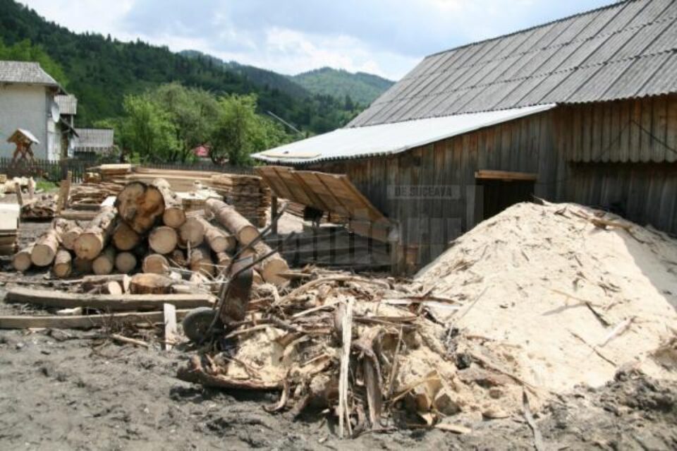Material lemnos în valoare de aproape 50.000 de lei, confiscat de polițiști Material lemnos în valoare de aproape 50.000 de lei, confiscat de polițiști