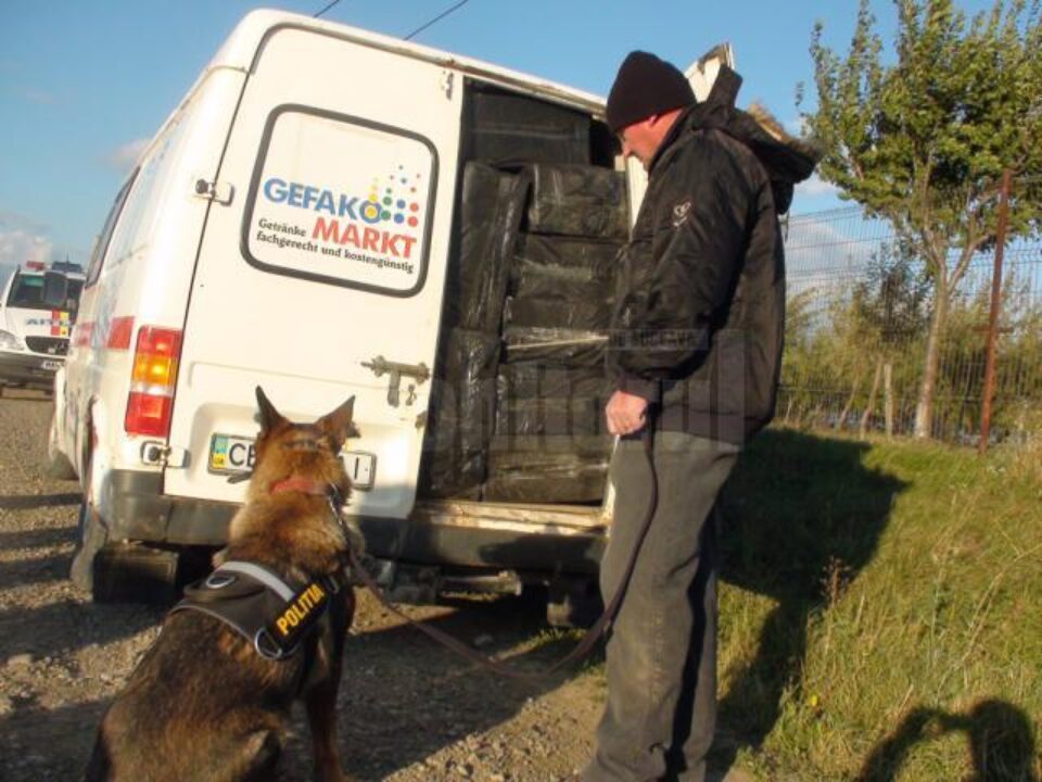 La urmărire a fost folosit inclusiv un câine de urmă aparținând Poliției orașului Siret