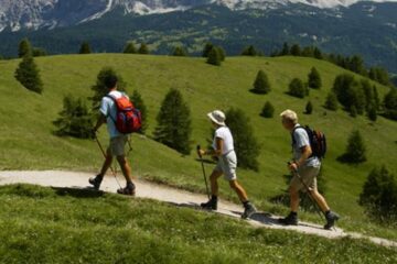 “O frumoasă excursiune” (I)