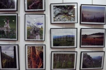 Fotografiile și desenele din cadrul expoziției Ecoturism Art pot fi admirate până pe 22 septembrie la City Gallery