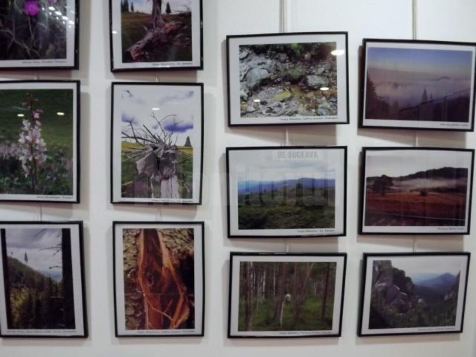 Fotografiile și desenele din cadrul expoziției Ecoturism Art pot fi admirate până pe 22 septembrie la City Gallery