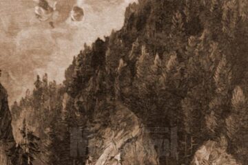 Plute pe Bistrița – desen de Mattias Adolf Charlemont (1820-1871)