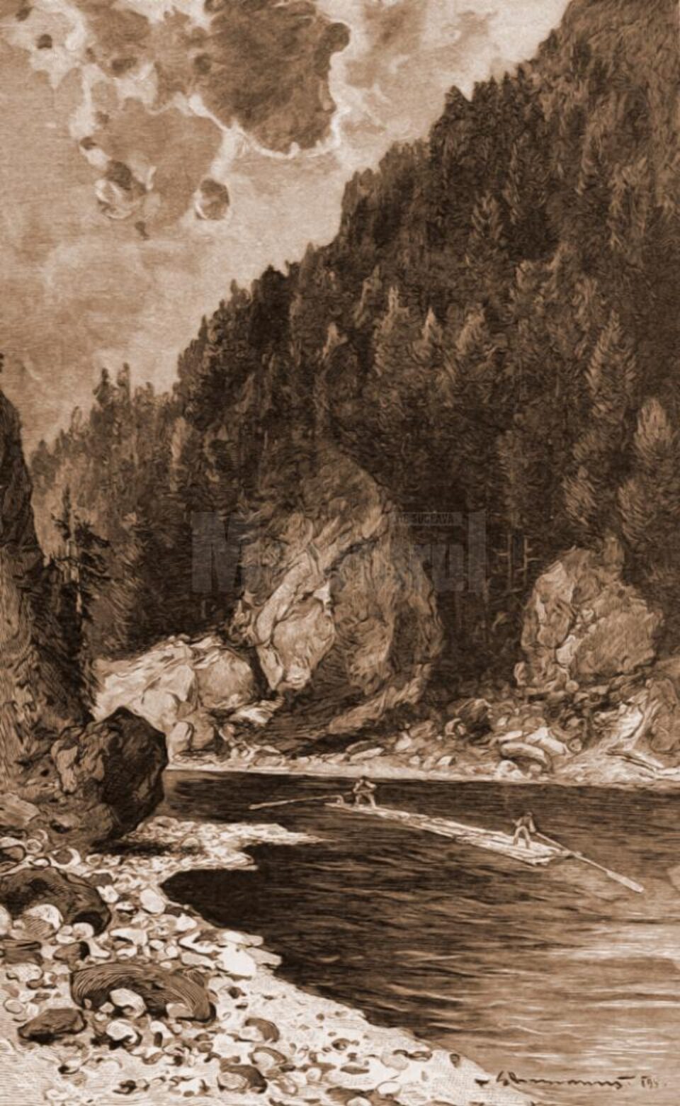 Plute pe Bistrița – desen de Mattias Adolf Charlemont (1820-1871)