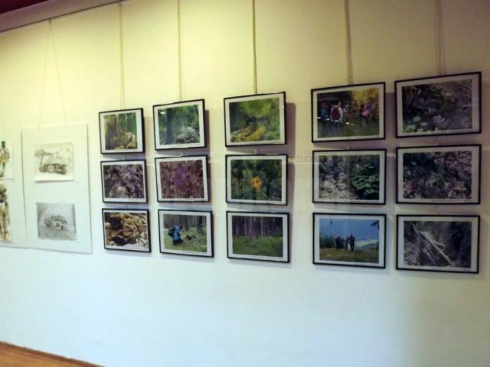 Fotografiile și desenele din cadrul expoziției Ecoturism Art pot fi admirate până pe 22 septembrie la City Gallery