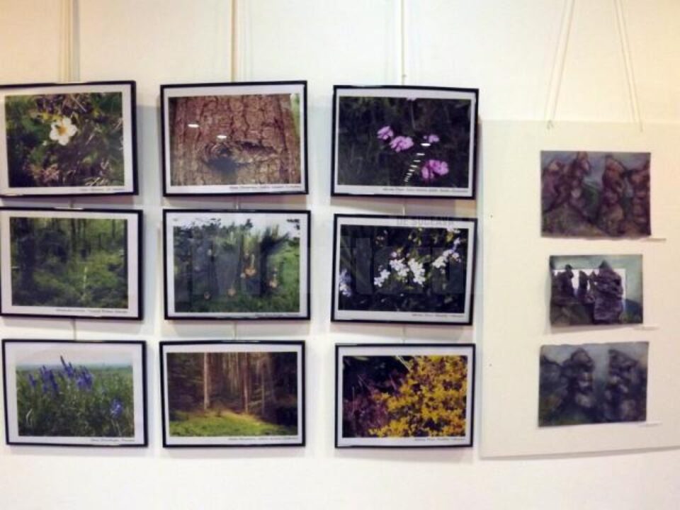 Fotografiile și desenele din cadrul expoziției Ecoturism Art pot fi admirate până pe 22 septembrie la City Gallery