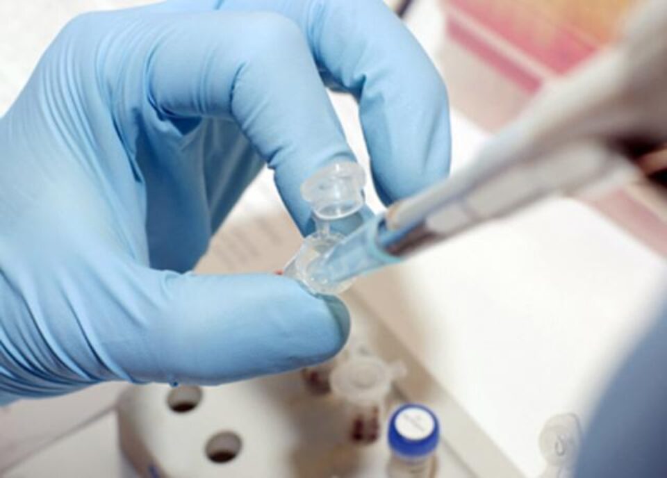 O bacterie modificată genetic a fost creată de o companie cu sediul în Marea Britanie O bacterie modificată genetic a fost creată de o companie cu sediul în Marea Britanie