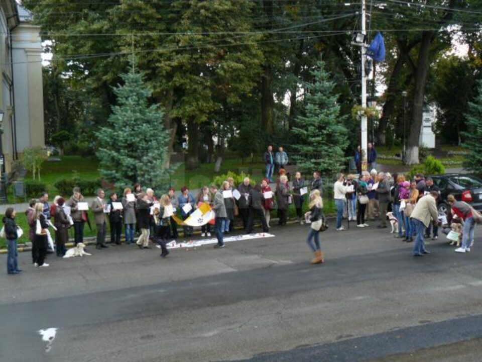 Protest pașnic împotriva legii care permite eutanasierea câinilor comunitari