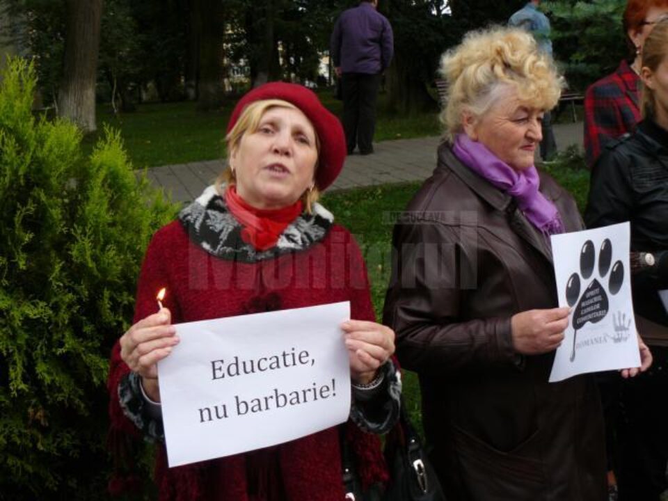 Protest împotriva eutanasierii câinilor, în fața Prefecturii