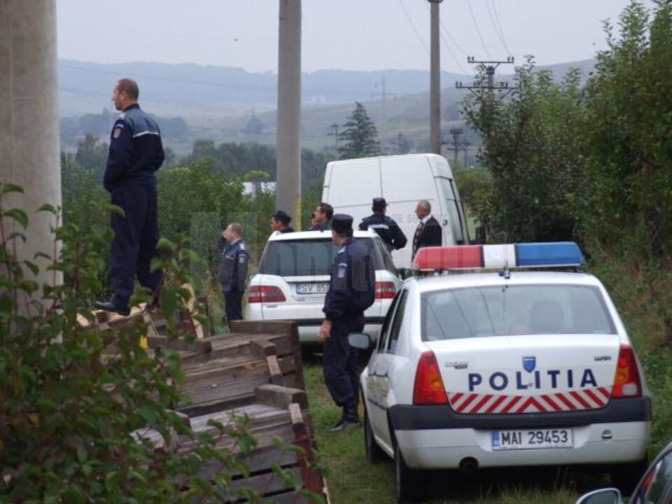 Un urs s-a plimbat pe mai multe străzi din Fălticeni, apoi a dispărut