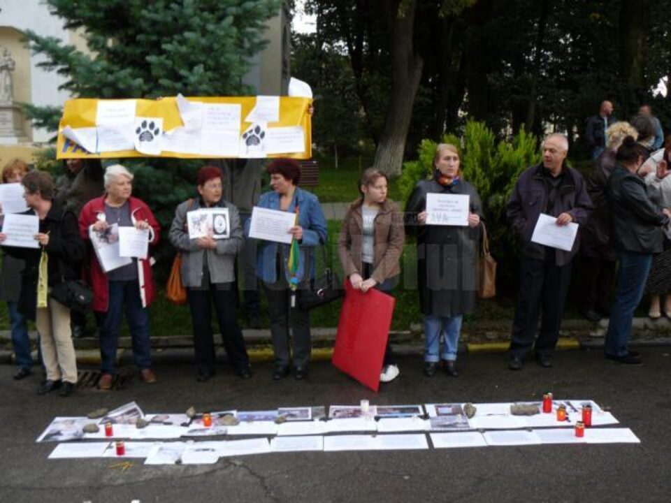 Protestatarii nu au strigat lozinci, afișând doar o mulțime de mesaje care au îndemnat la excluderea violenței împotriva maidanezilor