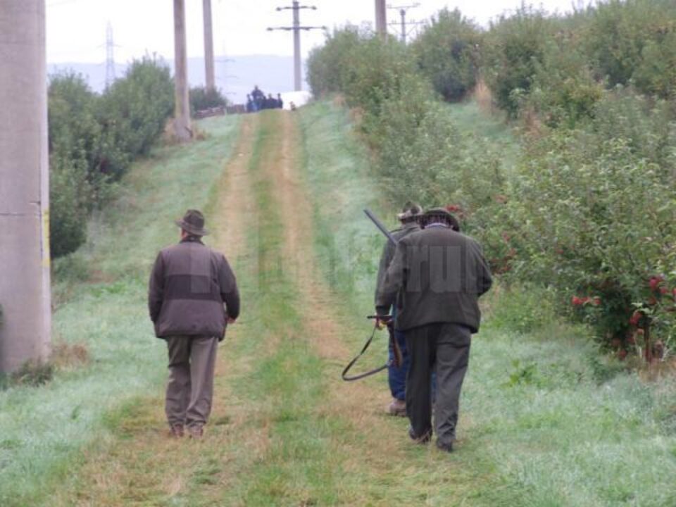 Un urs s-a plimbat pe mai multe străzi din Fălticeni, apoi a dispărut