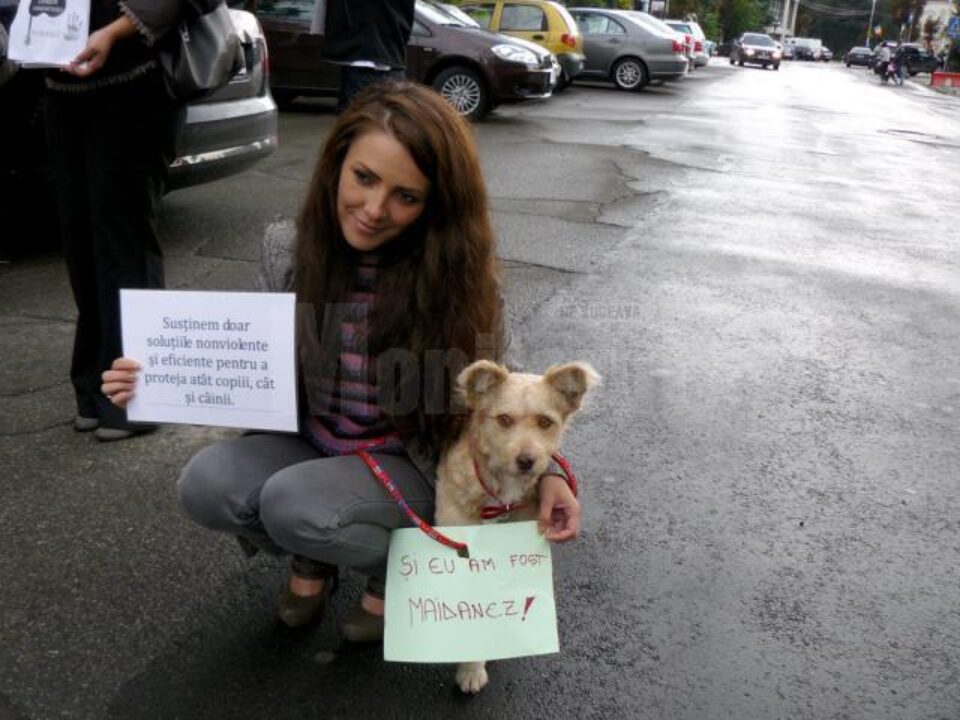 Câinii au fost aduși la protest pentru încurajarea adopției
