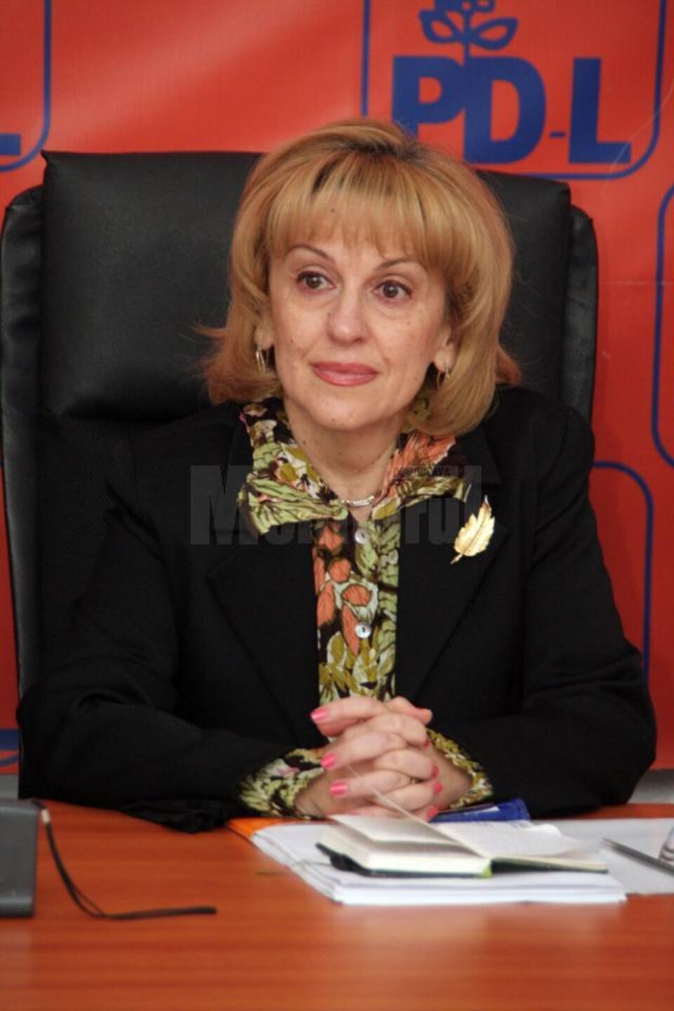 Deputatul PDL de Suceava Sanda-Maria Ardeleanu