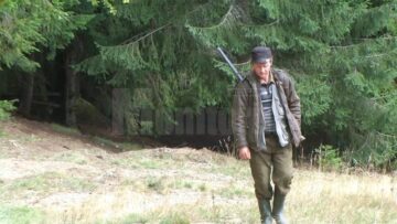 Echipele de salvatori au scotocit pădurea pe o rază de câțiva kilometri