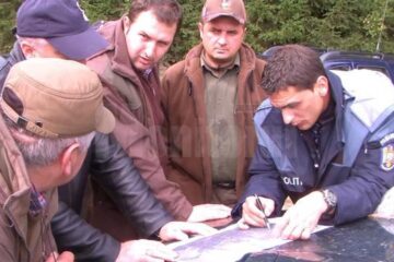 Echipele de salvatori au scotocit pădurea pe o rază de câțiva kilometri