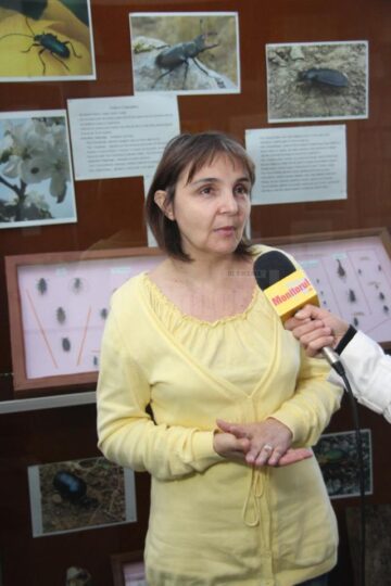 Șefa secției de Științele Naturii din cadrul Muzeului Bucovinei, Angela Anea