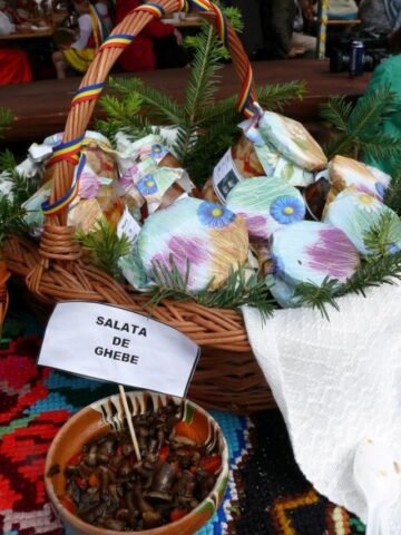 La Vama, ediția a V-a a Festivalul Hribului