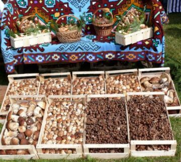 La Vama, ediția a V-a a Festivalul Hribului
