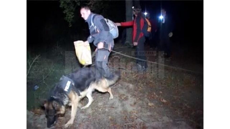 Operațiunile de căutare